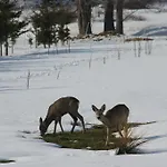 La Val, Karkonosze 4* Szarocin