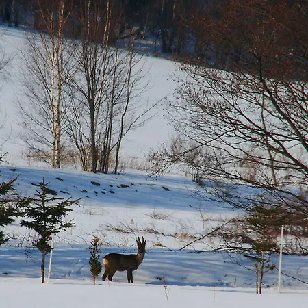 Bed & Breakfast La Val, Karkonosze