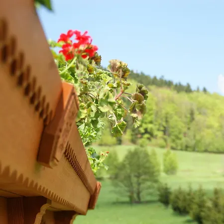 La Val, Karkonosze Bed & Breakfast