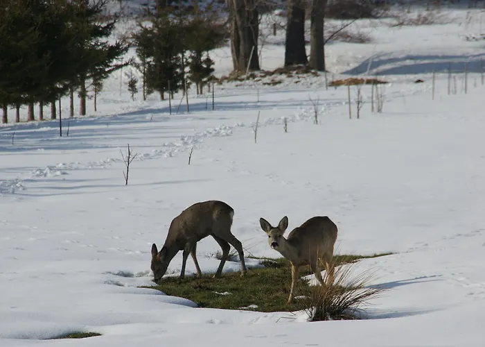 La Val, Karkonosze 4* Szarocin