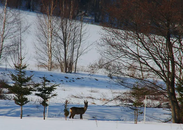 Bed & Breakfast La Val, Karkonosze